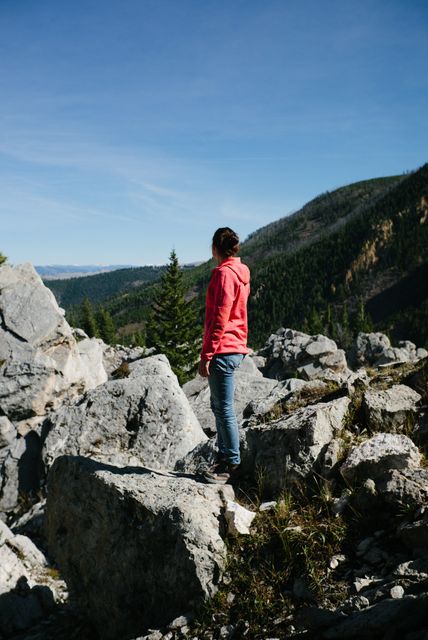 Woman Hiking in Mountainous Terrain with Rocky Landscape - Download Free Stock Photos Pikwizard.com