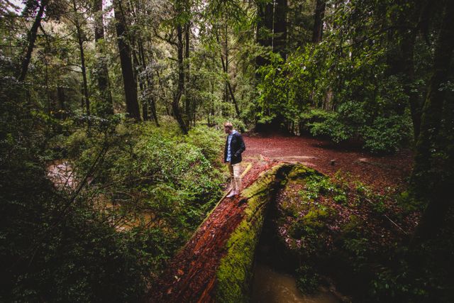 Man balances on a moss-covered log amidst a green, lush forest. Ideal for themes of adventure, outdoor activities, exploration, hiking, solitude, and connection with nature. Can be used in travel blogs, nature conservation campaigns, and adventure guides.