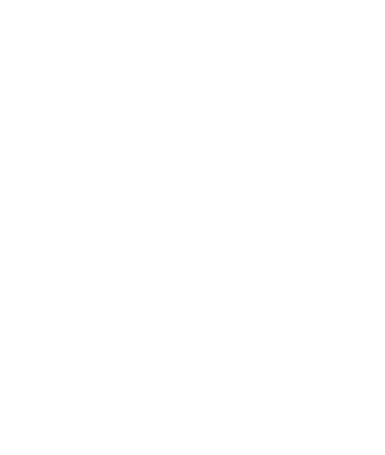 Transparent Geometric Graph Picturing Complex Curves - Download Free Stock Videos Pikwizard.com