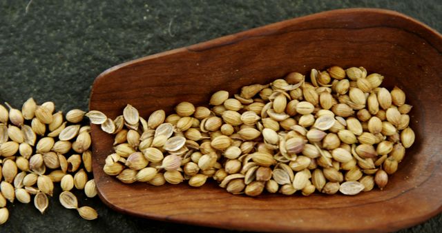 A wooden bowl holds a pile of dried coriander seeds on a dark surface, with copy space. Coriander seeds are commonly used as a spice in culinary dishes for their distinct, citrus-like flavor and aroma.