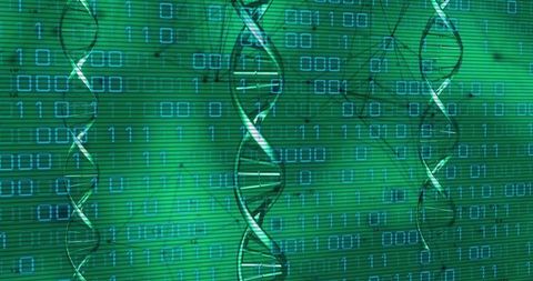 Floating DNA Helix in Binary Code Environment For Biotechnology Insight