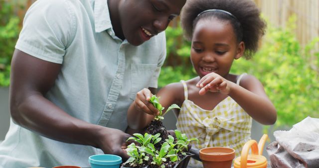 Image of african american father and daughter planting plants. Enjoying quality family time together in garden.