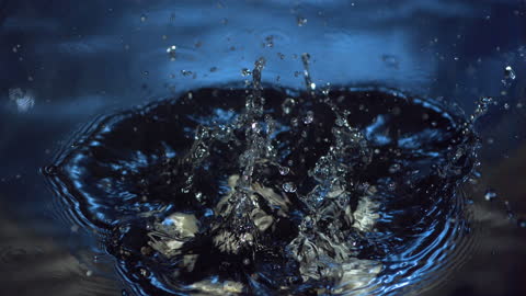 Mushrooms Splashing in Water Creating Dynamic Ripples