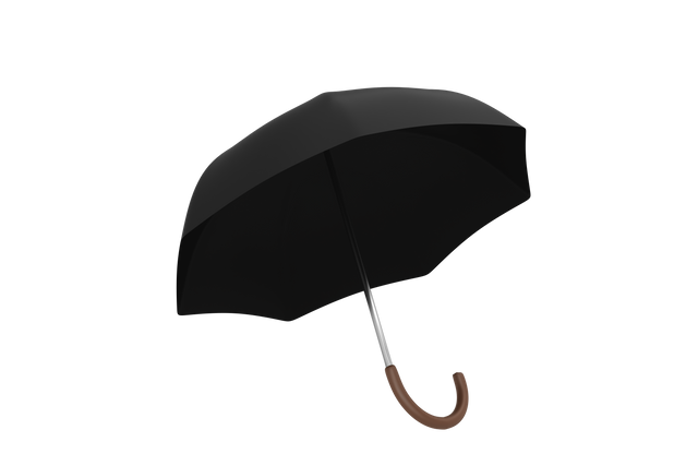 Black Umbrella with Wooden Handle on Transparent Background - Download Free Stock Videos Pikwizard.com