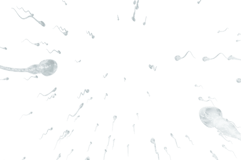 transparent sperm zooming towards center on clear background - Download Free Stock Videos Pikwizard.com