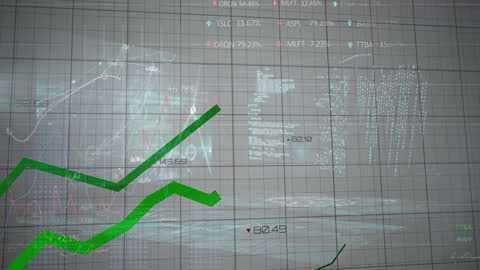 Dynamic Financial Data Visualization with Networking Graph