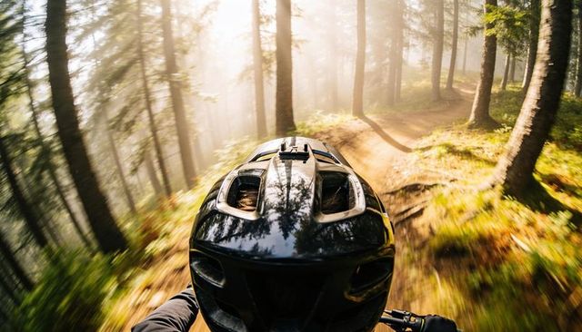 Pov mountain biker racing downhill on sunlit pine singletrack with gloved hands