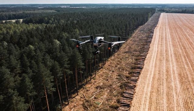 Drone surveying clearcut boundary between dense pine forest and harvested wheat field