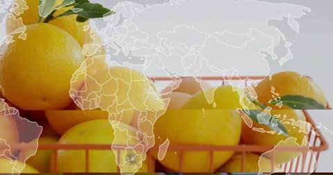 Displaying bright citrus basket with world map overlay for global trade concept