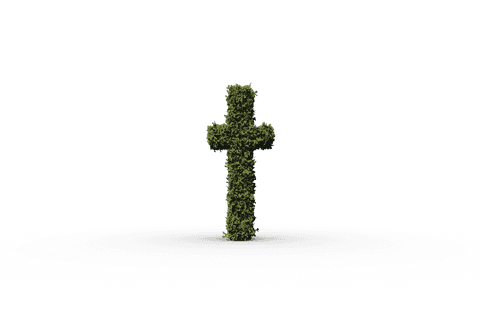 Creative Letter T with Grass on Transparent Background - Download Free Stock Videos Pikwizard.com