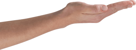 Cropped Transparent Arm Outstretched Hand Gesturing - Download Free Stock Videos Pikwizard.com
