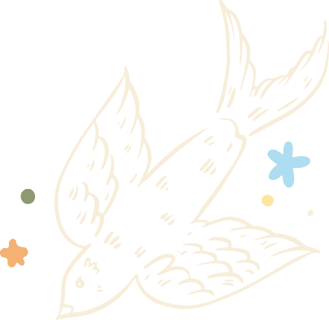 elegant swallow bird illustration with decorative shapes on transparent background - Download Free Stock Videos Pikwizard.com