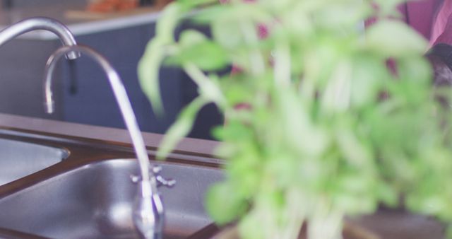 Modern Kitchen Sink with Herbs in Foreground - Download Free Stock Images Pikwizard.com