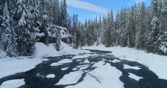 Stream flowing through snowy forest during winter 4k - Download Free Stock Photos Pikwizard.com