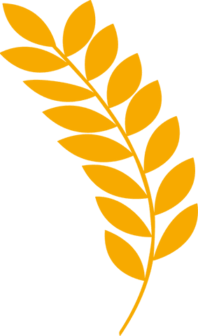 Golden stylized plant branch on transparent background