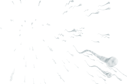 transparent sperm cells swimming in abstract motion - Download Free Stock Videos Pikwizard.com