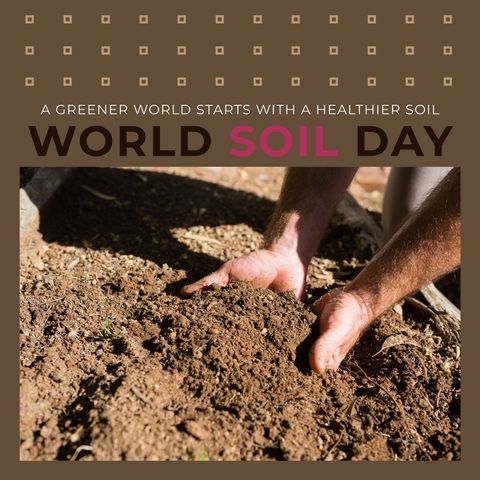World soil day celebration with hands in earth conveys conservation