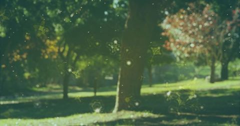 Abstract Digital Shapes Overlaying Serene Park Landscape