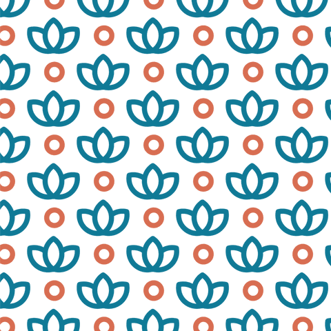 Colorful Flower and Circle Pattern on Transparent Background - Download Free Stock Videos Pikwizard.com