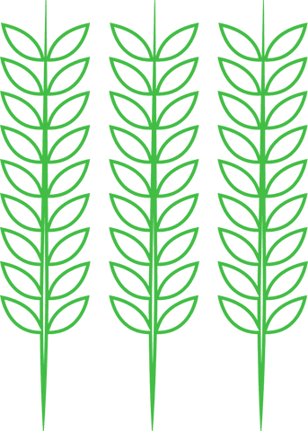 green twigs with leaves pattern on transparent background - Download Free Stock Videos Pikwizard.com