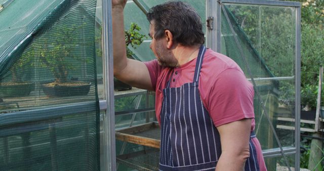 Middle-aged man tending greenhouse in striped apron - Download Free Stock Images Pikwizard.com