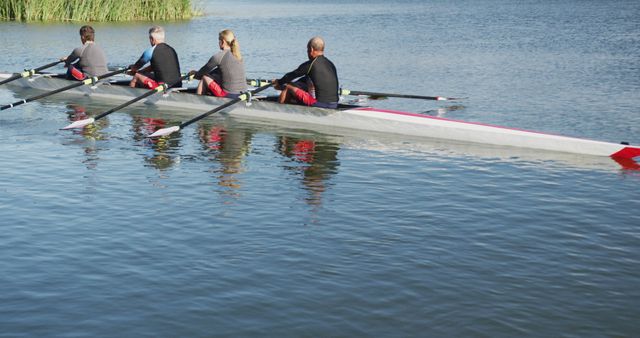 Group of four rowers synchronizing rowing strokes on a calm lake. Ideal for concepts related to teamwork, sports training, fitness, and outdoor recreational activities.