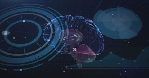 Futuristic Brain Analytics with Digital Data Visualization - Download Free Stock Images Pikwizard.com