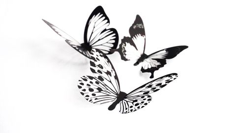Elegant black and white paper butterflies on white background