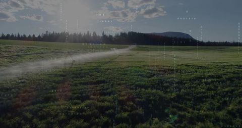 Center pivot irrigation hydrating lush crops in rural farmland