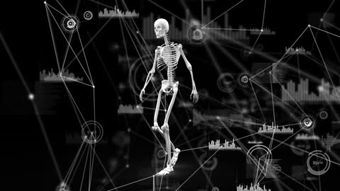 Digital Skeleton in Futuristic Data Network