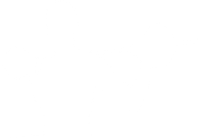 Silhouette of Man Lifting Weight Bar on Transparent Background - Download Free Stock Videos Pikwizard.com