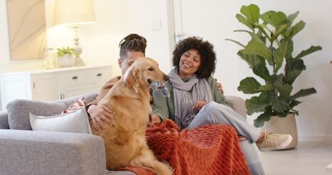 Couple relaxing on sofa with golden retriever holding toy in cozy modern living room