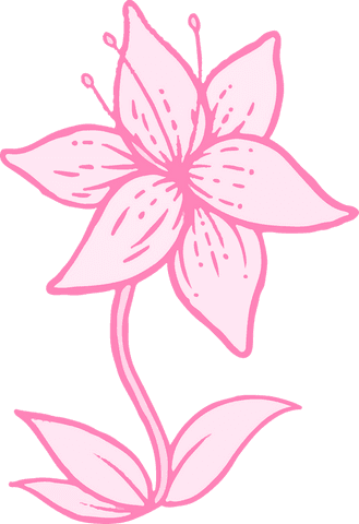 pink hand-drawn flower illustration on transparent background - Download Free Stock Videos Pikwizard.com