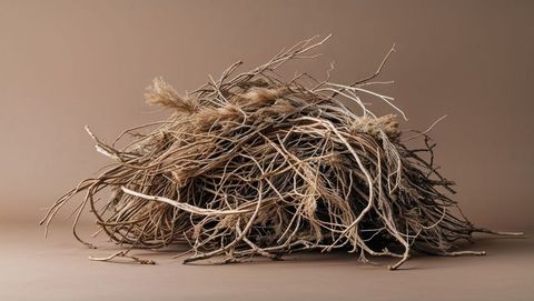 Earthy sculptural structure with dried roots and tumbleweed twigs