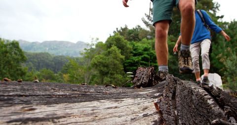 Hikers Exploring Forest, Crossing Over Fallen Tree Trunk - Download Free Stock Images Pikwizard.com