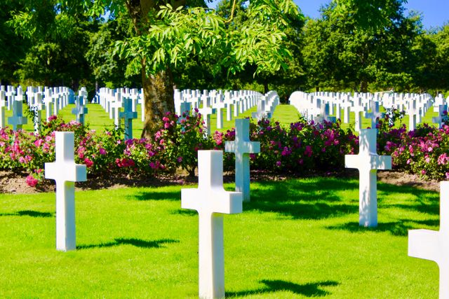 White crosses in military cemetery with bright green grass and blooming flowers, sunny day. Ideal for themes of remembrance, honoring war heroes, memorial day, and peaceful resting places. Suitable for blogs, articles, and reports on military history, veterans' affairs, and tribute ceremonies.