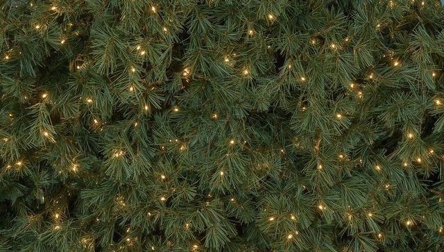 Glowing evergreen pine branches shimmering with warm white string lights, holiday texture
