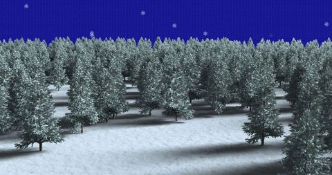 Snowfall Over Winter Forest with Fir Trees and Starry Sky