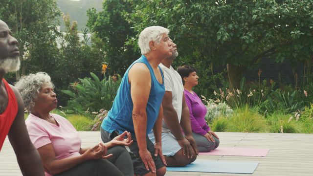 Senior diverse group practicing yoga outdoors, focusing on mindfulness and physical fitness. Ideal for articles about healthy aging, inclusive fitness programs, and outdoor wellness activities. Excellent for promoting body inclusive exercise routines and retirement community engagement.