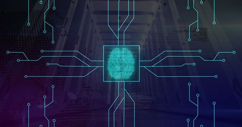 Artificial Intelligence Concept with Brain Overlay in Server Room - Download Free Stock Images Pikwizard.com