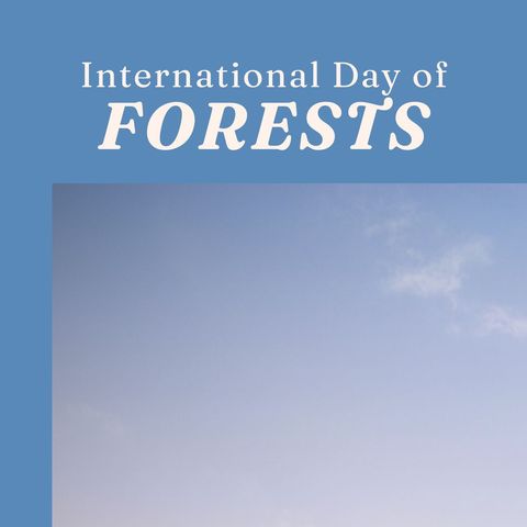 International Day of Forests Sky Background Concept - Download Free Stock Templates Pikwizard.com