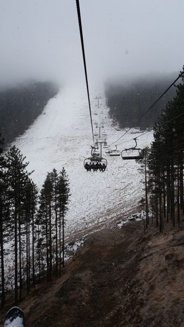 Ski lift ascending a snowy mountain surrounded by pine trees during a foggy winter day. Ideal for winter sport promotions, travel and adventure blogs, or advertisements for ski resorts.