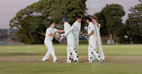 Five cricket players celebrating handshake after match at twilight on suburban grassy pitch