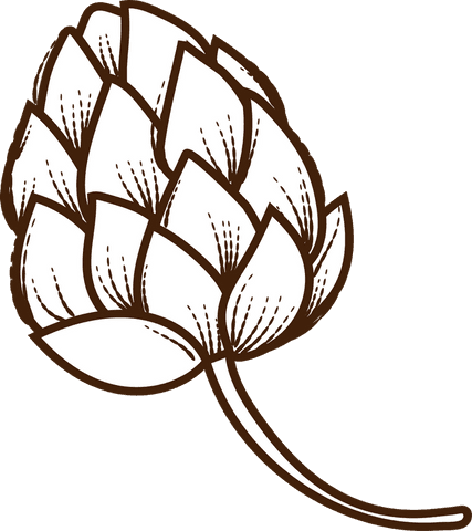 Vintage flat design hop cone on transparent background