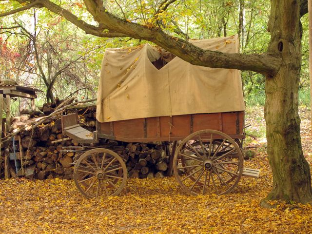 About autumn cart coach - Download Free Stock Photos Pikwizard.com
