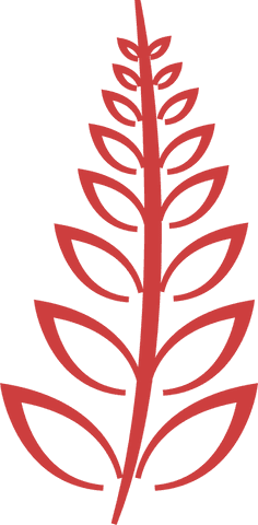 big red twig with leaves on transparent background vector illustration - Download Free Stock Videos Pikwizard.com