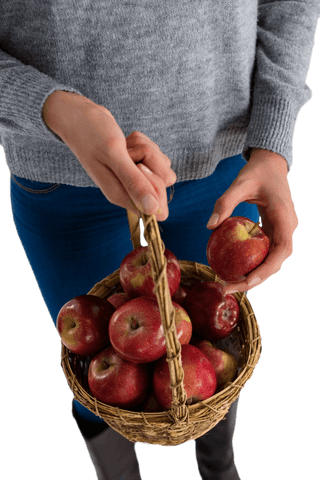 midsection view holding basket of fresh red apples on transparent background - Download Free Stock Videos Pikwizard.com