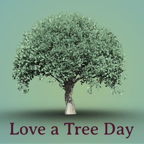 stoic tree with celebratory text for love a tree day - Download Free Stock Templates Pikwizard.com