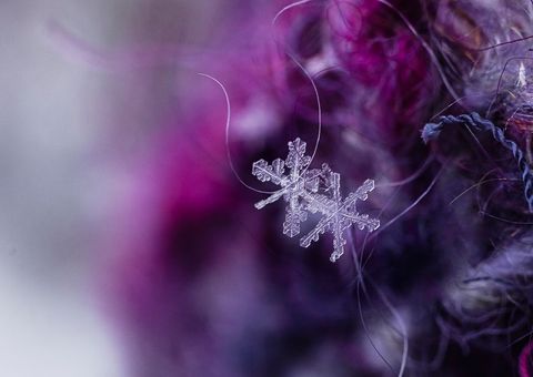 Macro snowflake resting on purple wool fiber crystal detail winter close-up