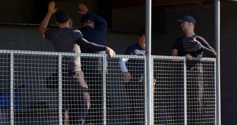 Baseball teammates celebrating and chatting in dugout behind wire-mesh fence on sunny day